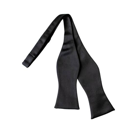 Self Knot Bow Tie